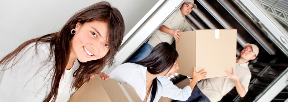 Professional Removalists South Hobart